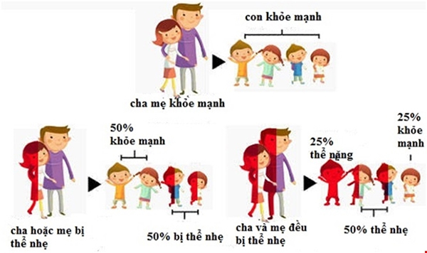 benh-thalassemia1 Bệnh thalassemia