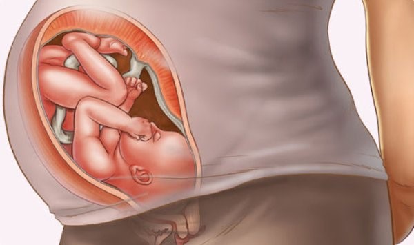 Bụng tụt thấp