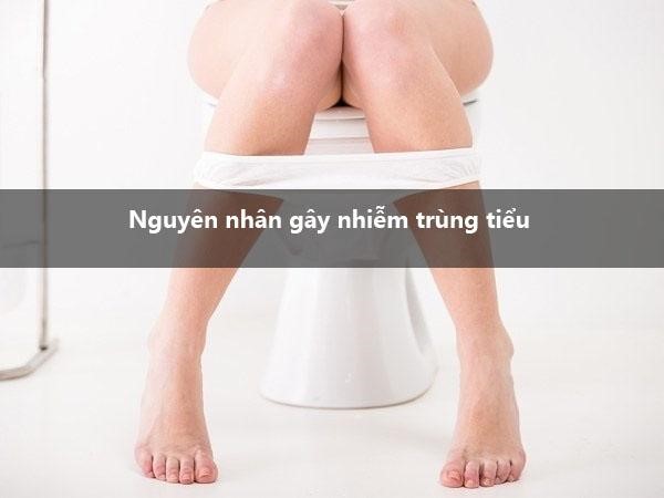 nguyen-nhan-nhiem-trung-tieu Nguyên nhân gây nhiễm trùng tiểu