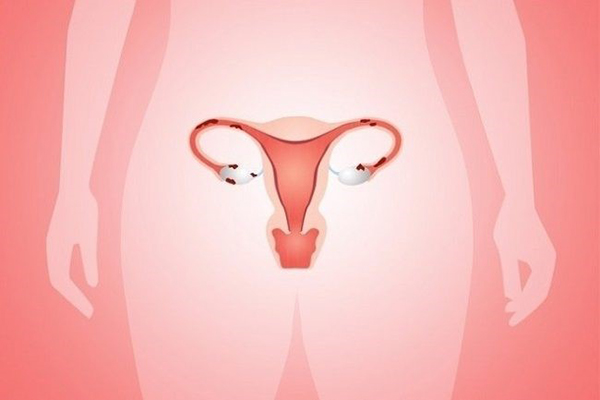 Niêm mạc tử cung bình thường là như thế nào