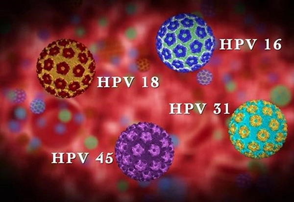 Virus HPV
